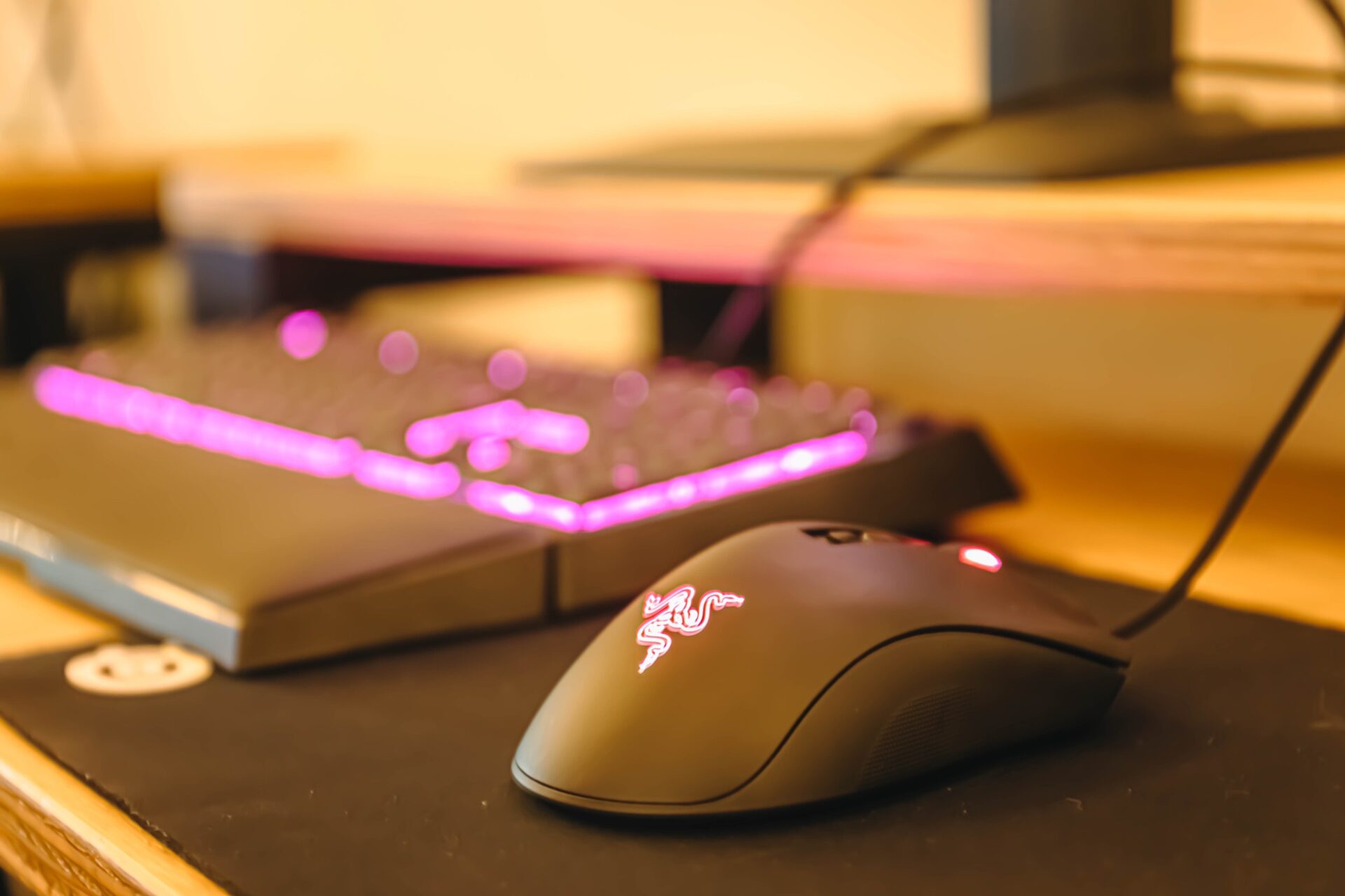 マウス、キーボードはLogicool、Razerを用意しています